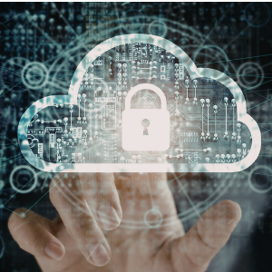 zero trust zero trust